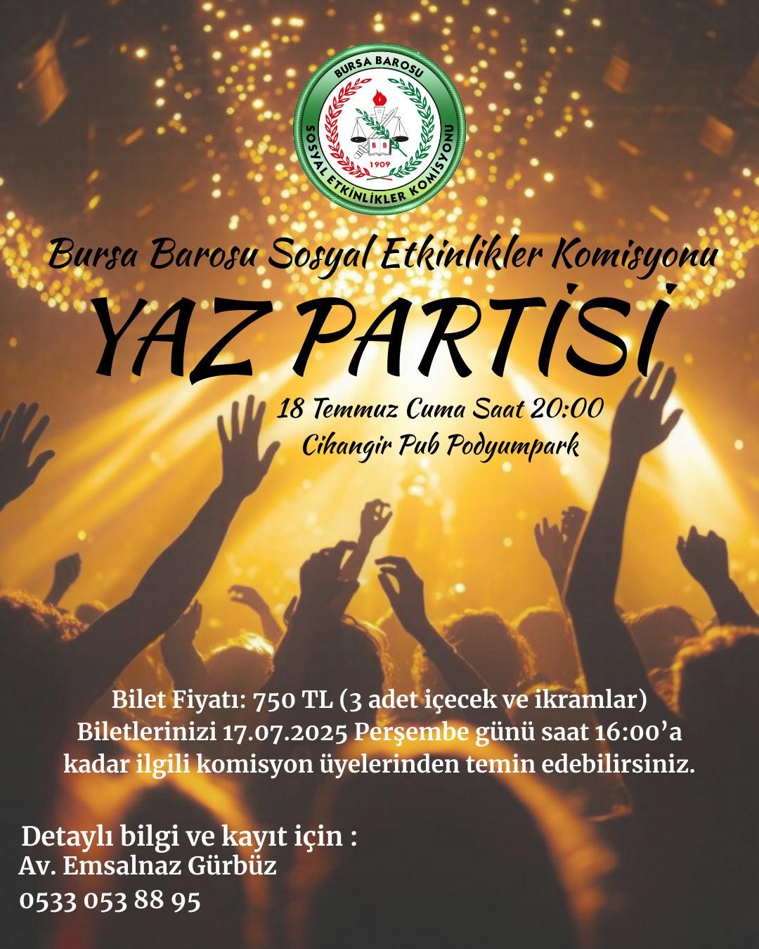 YAZ PARTİSİ